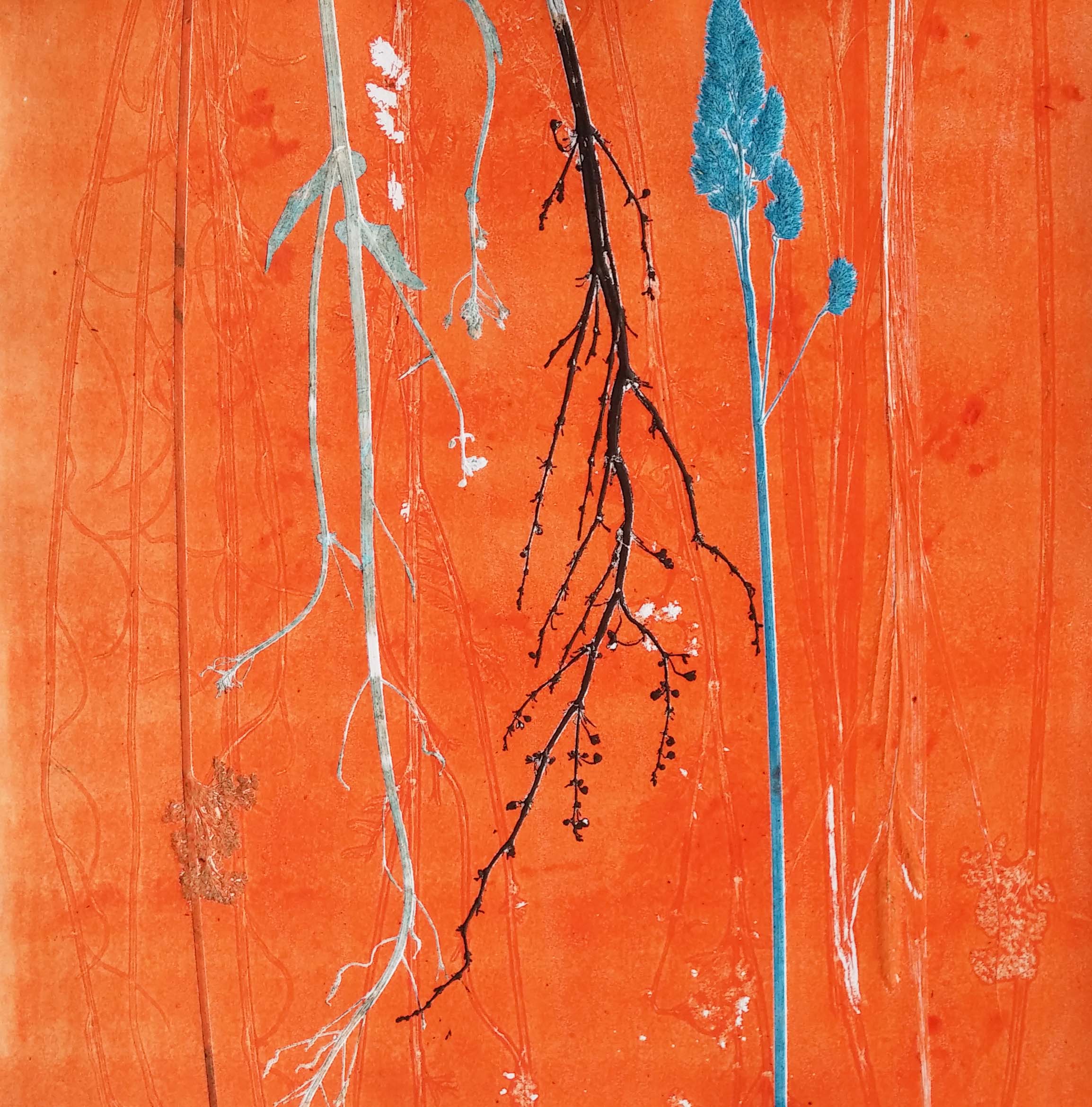 Herbarium